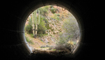 photo thumbnail #13