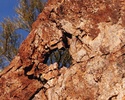 photo thumbnail #12