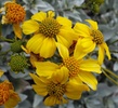 photo thumbnail #14