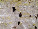 photo thumbnail #13