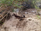 photo thumbnail #15