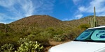 photo thumbnail #1