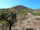 photo thumbnail #2