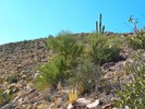 photo thumbnail #4