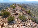 photo thumbnail #9