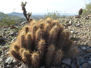 photo thumbnail #3