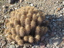 photo thumbnail #4