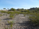 photo thumbnail #11