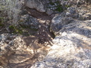 photo thumbnail #14