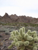 photo thumbnail #6
