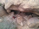 photo thumbnail #10