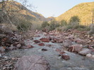 photo thumbnail #2