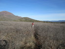 photo thumbnail #3