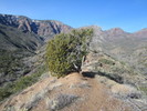 photo thumbnail #4