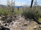 photo thumbnail #10