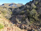 photo thumbnail #15