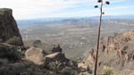 photo thumbnail #8