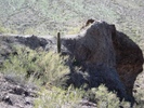 photo thumbnail #5