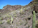 photo thumbnail #6