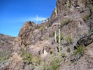 photo thumbnail #8