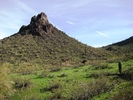 photo thumbnail #11