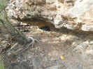 photo thumbnail #4