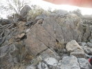 photo thumbnail #5