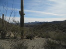 photo thumbnail #14