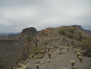 photo thumbnail #4