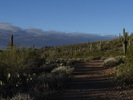 photo thumbnail #3