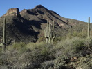 photo thumbnail #10