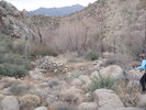 photo thumbnail #2