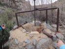 photo thumbnail #3