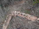photo thumbnail #9
