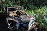 photo thumbnail #8