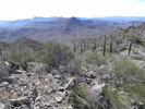 photo thumbnail #5