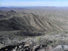 photo thumbnail #12