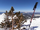 photo thumbnail #5