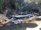 photo thumbnail #1