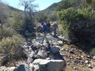 photo thumbnail #2