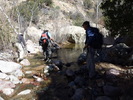 photo thumbnail #5