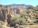 photo thumbnail #5