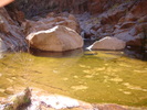 photo thumbnail #12