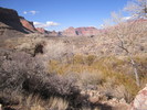 photo thumbnail #10