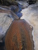 2013-02-06 :2: Tonto Trail: South Kaibab to Bright Angel :: cactuscat
