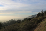 photo thumbnail #13
