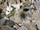 photo thumbnail #14