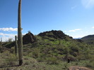 photo thumbnail #1