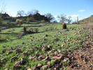 photo thumbnail #4