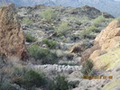 photo thumbnail #4